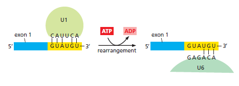 Figure 6-29.png